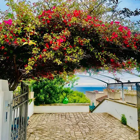 Casa Al Mare Rio B&n * Tricase
